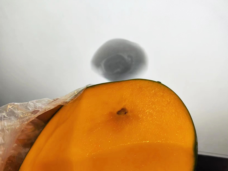 Système d'inspection des rayons X pour la mangue