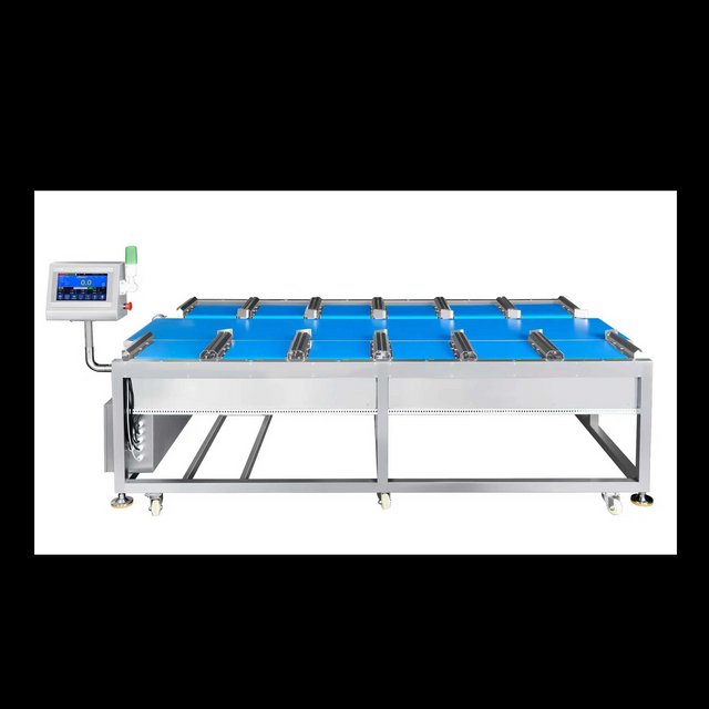 Peseuse combinée linéaire à 12 têtes pour steak Durian