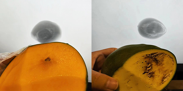 Machine d'inspection &agrave; rayons X pour application sur le terrain osseux